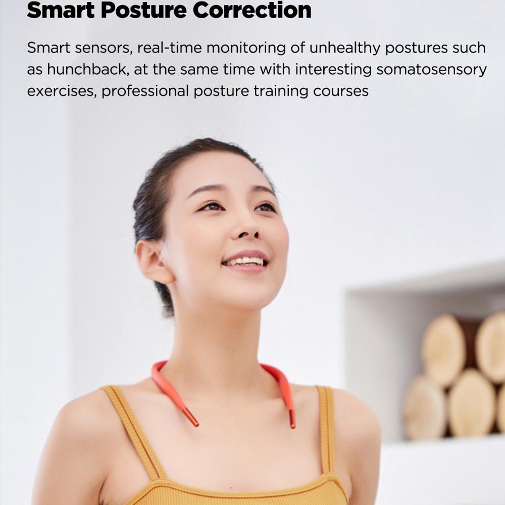 Uprighto Posture Pal