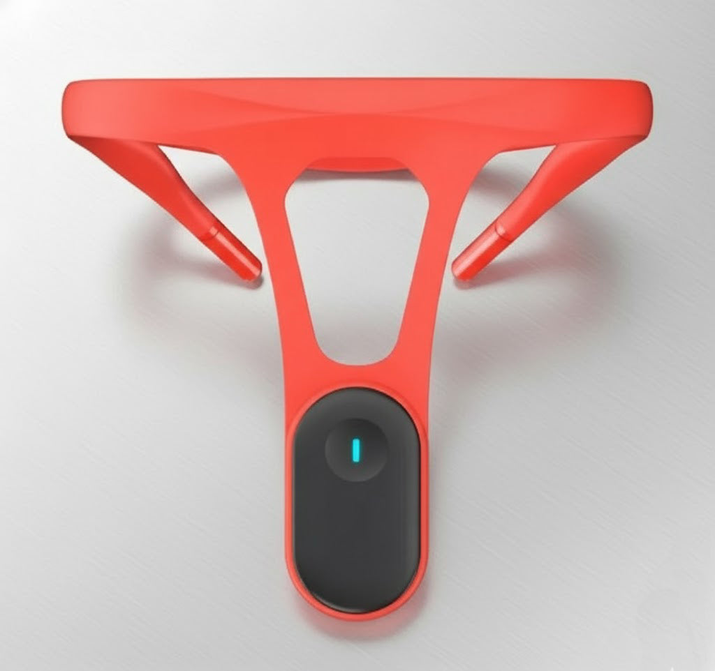 Uprighto Posture Pal