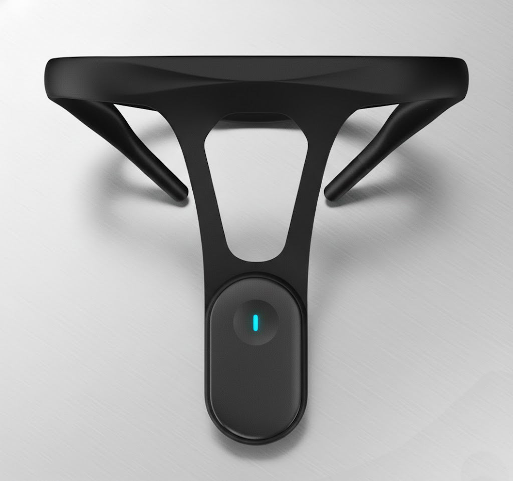 Uprighto Posture Pal